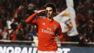 JOÃO FÉLIX  TODOS OS GOLOS PELO BENFICA All Goals [upl. by Iram]