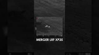 Deer captured with Pulsar thermal imaging binoculars Merger LRF XP35 pulsarvision [upl. by Melicent]