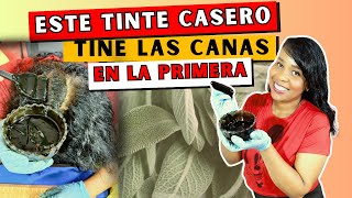 COMO MATIZAR las CANAS con este TINTE NEGRO CASERO  Como Cubrir las Canas en la Primera Aplicación [upl. by Zaremski480]