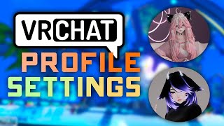 VRChat Profile Settings Explained  How to Setup a Custom Profile 2024 [upl. by Ebocaj52]