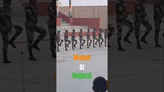 Parade at Wagah of Gujarat  Nadabet border bsf parade nadabet retreatceremony [upl. by Nelac]