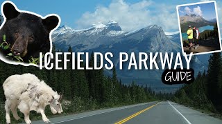 Exploring Icefields Parkway A Scenic Guide to Canadas Natural Beauty  Alberta Canada [upl. by Etnoled246]