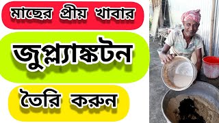 How to Grow Zooplankton in Fish Pond  Bangla [upl. by Ellenaej336]