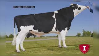 SEMEX LOA DE MEDE CANADA REDUZIDA [upl. by Ailama]