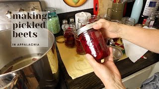 Making Pickled Beets in Appalachia [upl. by Alejna893]