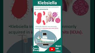 Klebsiella pneumoniae  1 minute micro bio  USMLE [upl. by Margie]