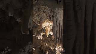 Amazing Shasta caverns don’t miss it california caverns thingstoexplore redding [upl. by Divd]