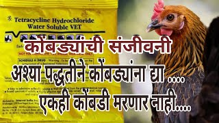 How to use tetracycline powder in poultry  वापर आणि महत्त्व 🙏😊 [upl. by Coady511]