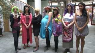 quotGermanys Next Flopmodelquot  Eine Parodie Mai 2013 [upl. by Ydarb]