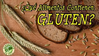 ¿Qué Alimentos Contienen Gluten 🌾 [upl. by Wilhide]