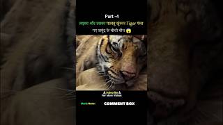 Life Of Pi Movie Explained In HindiUrdu Part 4 shorts [upl. by Ilise]