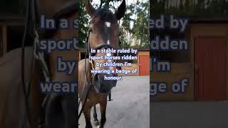 What do you mean Navicular syndrome hes in top form horse equestrian horseriding showjumping [upl. by Islean]