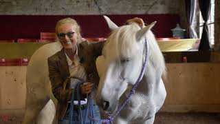 Marie Massmann  Vorstellung Horse Focus Training [upl. by Drofub]