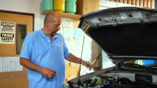 How to Check amp Add PowerSteering Fluid [upl. by Ekyt]