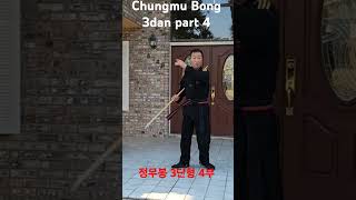 Chungmu Bong 3dan part 4 정무 봉 3단형 4부 [upl. by Nerval90]