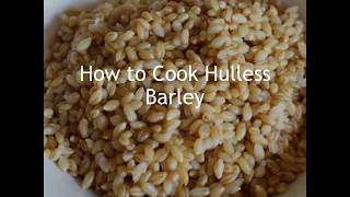 Cooking Hulless Barley 101 [upl. by Woodring]