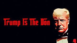 TRUMP IS THE DON by Divided States Of America [upl. by Libenson208]