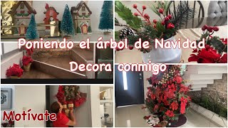 Limpia y Decora conmigo el Árbol de navidad 🌲✨🎄MOTÍVATE ✨✨ [upl. by Ephrayim]