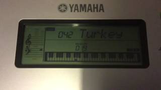 Yamaha YPT255 Turkey In The Straw Transposed To G [upl. by Llehsyar]