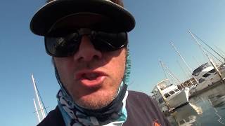 Spotted Bay Bass Fishing in quotSan Diego Bayquot [upl. by Aili]