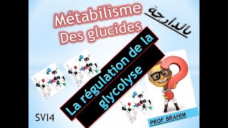 La régulation de la glycolyse  SVI S4 en arabe [upl. by Amairam]