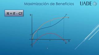 Maximización de Beneficios [upl. by Theurich]