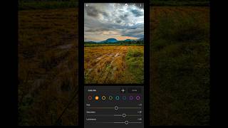 Lightroom mobile editing setting  naturel photography📷😍 youtubeshorts trendingshorts viralvideo [upl. by Werdma638]