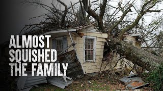 How to Survive a Tree Falling on Your House [upl. by Hufnagel]