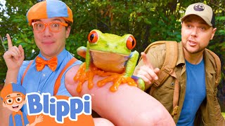 Blippis Adventure with Brave Wilderness  BEST OF BLIPPI TOYS  Educational Videos for Kids [upl. by Amelus]