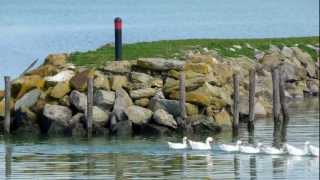 ISOLA MAGGIORE del LAGO TRASIMENO Umbria  Full HD [upl. by Aihsital]