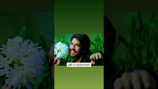 magadheera movie panchadara song ramcharan magadheera [upl. by Yatnwahs288]