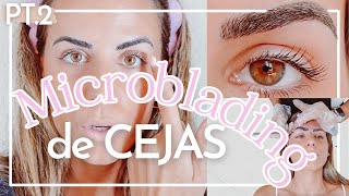 💉👁️ PROCESO MICROBLADING PARTE 2  Retoque evolución resultado final tatuaje de cejas [upl. by Crudden]