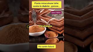 🌿La cannelle contre le Diabète bienêtre bienfaits sante nutrition diabete science doctor [upl. by Annaerdna32]