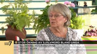 Chockerande ökning av antalet självmord bland unga  Nyhetsmorgon TV4 [upl. by Winny]