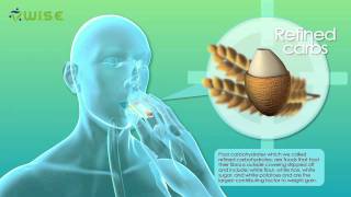 3D medical animation  Why people get fat  Warum Menschen Gewicht zunehmen  designidentity [upl. by Assele]