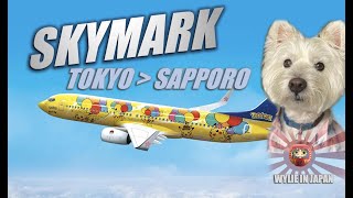 Flying with a Dog in Japan  Skymark Airlines Tokyo to Sapporo Flight SKY713 [upl. by Hgielrebmik]