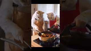 cat market amp Dinner ai cat ainimation funny animails cartoon cutecathere blackbear [upl. by Pulsifer]