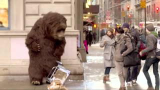 How to Survive a Bear Attack Episode 1  Good Morning America  ABC News [upl. by Eylatan]