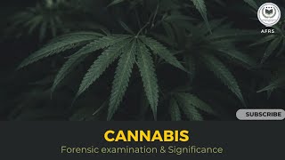 CANNABIS  Forensic Examination amp Significance  NDPS Drugs  forensic drugs afrs [upl. by Aleakcim]