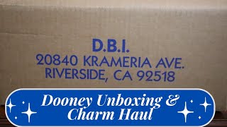 Shein Charm Haul amp Dooney Double Unboxing [upl. by Japeth211]