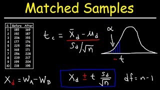 One sample ttest vs Independent ttest vs Paired ttest [upl. by Yeliah]