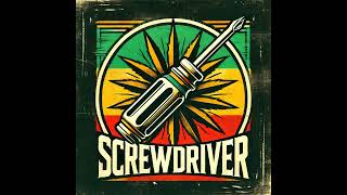 Rudebwai Stailee  Screwdriver  Instrumental Reggae Riddim [upl. by Adnarem117]