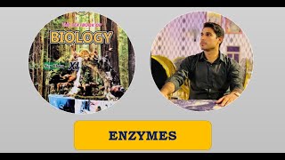 Class 11th  Enzymes  Lecture 4  Types of Enzymes [upl. by Marnia876]