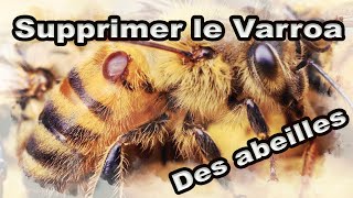 Comment supprimer le varroa de ses ruches  Apiculture apilife var [upl. by Elfstan312]