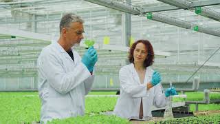 Scientists take samples of soil leaves study vegetable seedlings Scientific research on plants [upl. by Dehlia647]