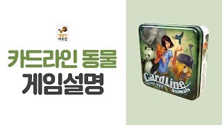 동물들의 놀라운 비밀이 밝혀집니다 카드라인동물 CARDLINE ANIMALS  행복한바오밥 [upl. by Lambard225]