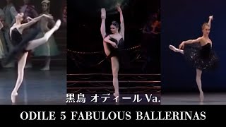 【厳選バレエ・見て学ぶ】中村祥子・他4人 黒鳥オディールVa Who is your favorite ballerina in Black Swan Odile variation [upl. by Leimaj]