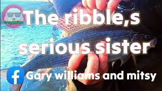 feeder fishing the river ribble tributary the caldergarywilliamsandmitsyhinders chub grayling [upl. by Terryl525]