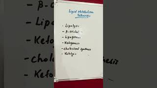 Lipid Metabolism Pathways lipids lipid metabolism metabolic [upl. by Alius]