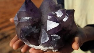 The Crystal Collector quotAmethyst hunt at Diamond Hill Mine South Carolinaquot [upl. by Derej31]